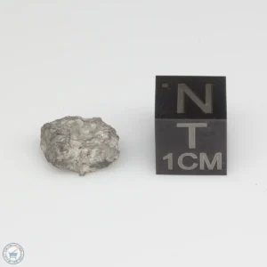Bechar 003 Lunar Meteorite Fragment 0.70g