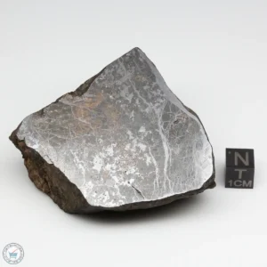 Bondoc Meteorite 201.4g Part End Cut