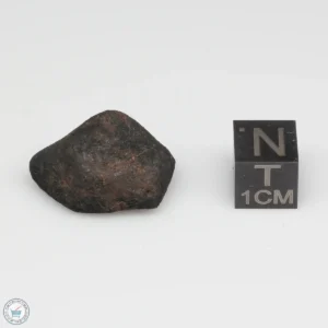 Gao-Guenie Meteorite 7.2g