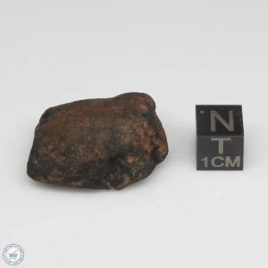 Gao-Guenie Meteorite 16.7g