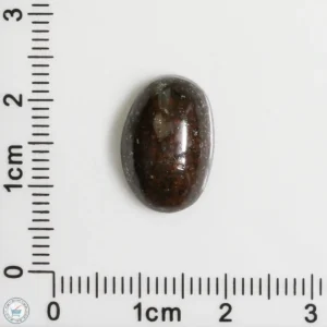 Meteorite Cabochon 1.6g 8ct