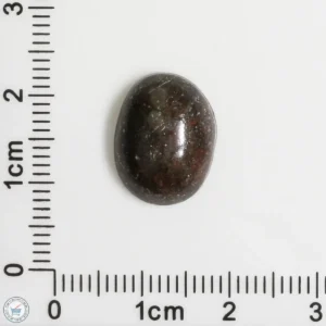 Meteorite Cabochon 1.5g 7.5ct