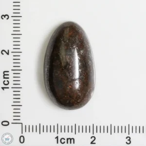 Meteorite Cabochon 4.4g 22ct