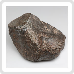 NWA 787 L3-6 Meteorite