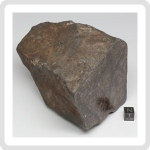 NWA 788 L5/6 Meteorite