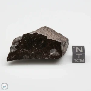 UNWA Meteorite End Piece 51.6g