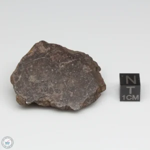 UNWA Meteorite End Piece 39.2g