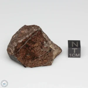 UNWA Meteorite End Piece 52.9g