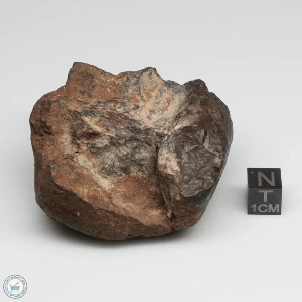 UNWA Meteorite Windowed Stone 174.2g