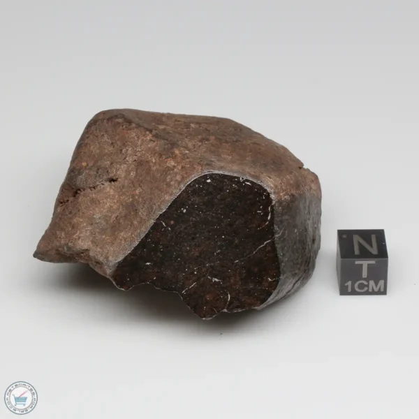 UNWA Meteorite Windowed Stone 174.2g