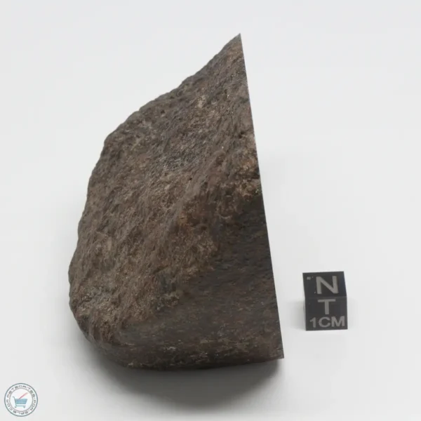 UNWA Meteorite End Piece 498g