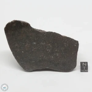 UNWA Meteorite End Piece 498g