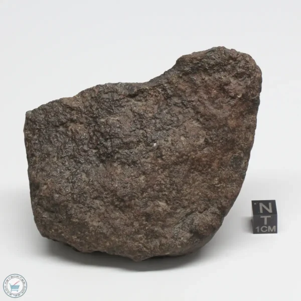 UNWA Meteorite End Piece 498g