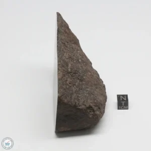 UNWA Meteorite End Piece 498g