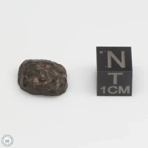 UNWA Meteorite Stone 2.4g