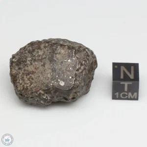 NWA 869 Meteorite 28.1g