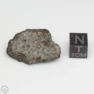 NWA 869 Meteorite 7.4g