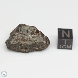 NWA 869 Meteorite 9.7g