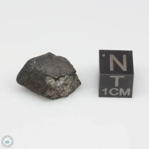 Chergach H5 Meteorite 4.3g