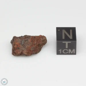 Dalgety Downs Meteorite 1.8g