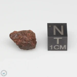 Dalgety Downs Meteorite 1.7g