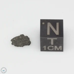 Jbilet Winselwan CM2 Meteorite 0.06g