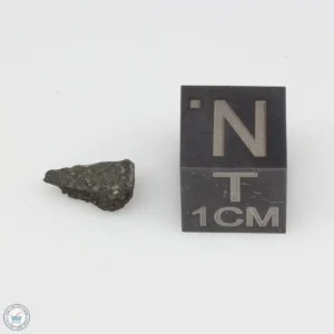 Jbilet Winselwan CM2 Meteorite 0.19g