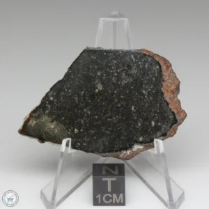 Tsarev Meteorite 9.8g
