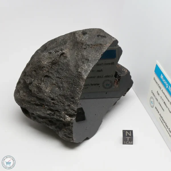 Muong Nong Tektite Polished 1144g