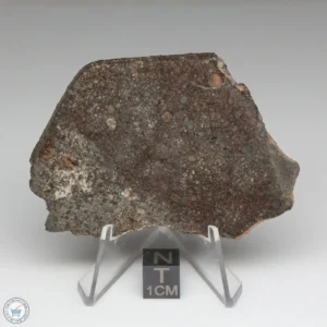 NWA 8384 Meteorite 39.9g
