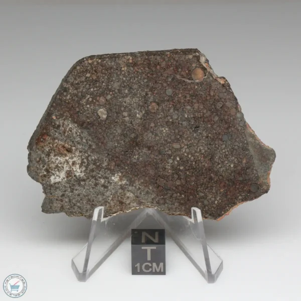 NWA 8384 Meteorite 39.9g