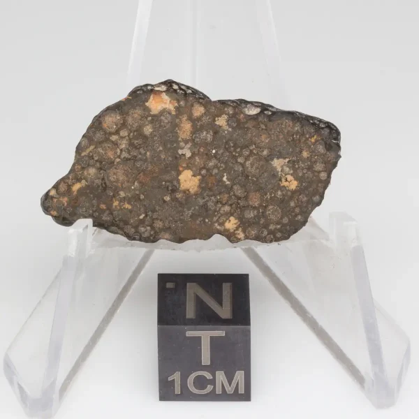 NWA 14353 CVred3 Meteorite 3.9g