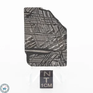 Aletai Meteorite 16.9g