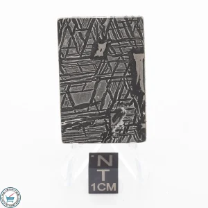 Aletai Meteorite 17.2g