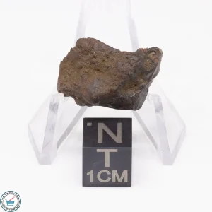 Admire Pallasite Meteorite 4.2g