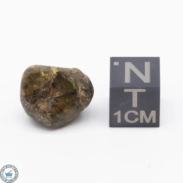 Admire Pallasite Meteorite 3.3g