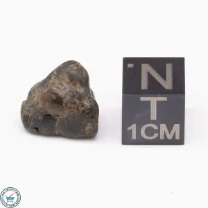 Admire Pallasite Meteorite 1.9g