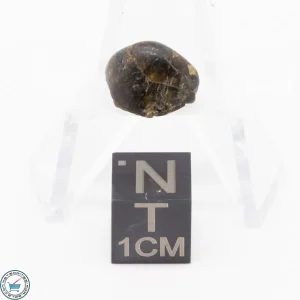 Admire Pallasite Meteorite 1.5g