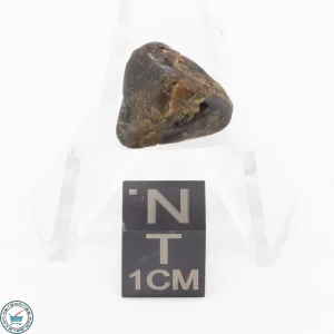 Admire Pallasite Meteorite 2.5g