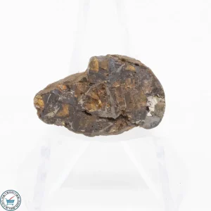 Admire Pallasite Meteorite 4.6g