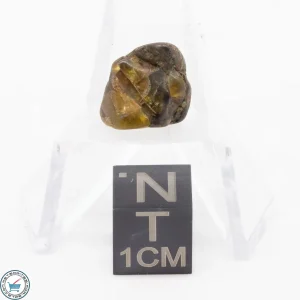 Admire Pallasite Meteorite 1.4g