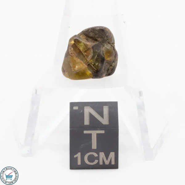 Admire Pallasite Meteorite 1.4g