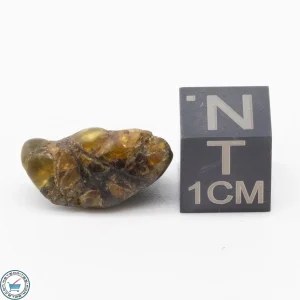 Admire Pallasite Meteorite 2g
