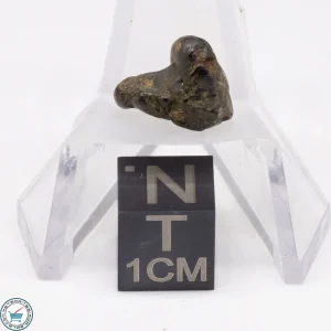 Admire Pallasite Meteorite 1.1g