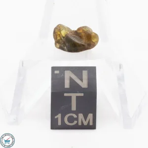 Admire Pallasite Meteorite 0.4g