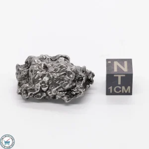 Campo del Cielo Meteorite 24.5g