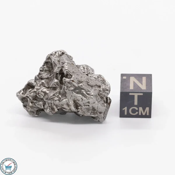 Campo del Cielo Meteorite 25.6g
