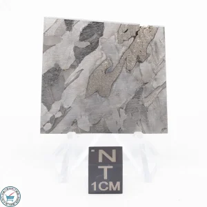 Seymchan Siderite Meteorite 26.6g
