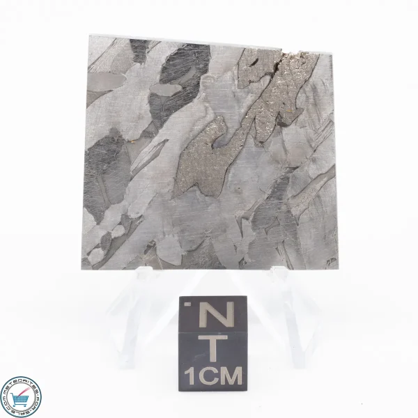 Seymchan Siderite Meteorite 26.6g