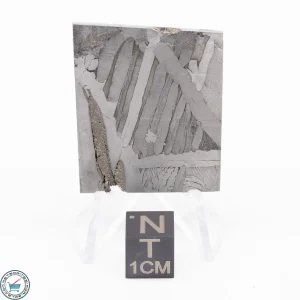 Seymchan Siderite Meteorite 20.8g